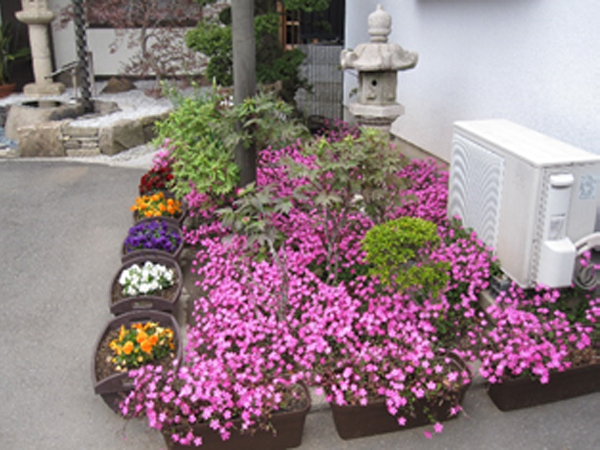 つる小桜 つる小桜