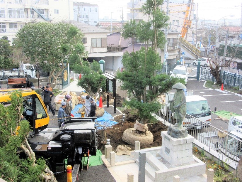 台杉植え付け 台杉植え付け
