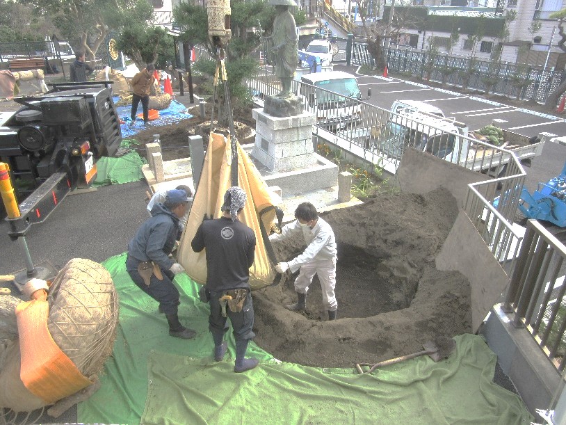 台杉植え付け 台杉植え付け