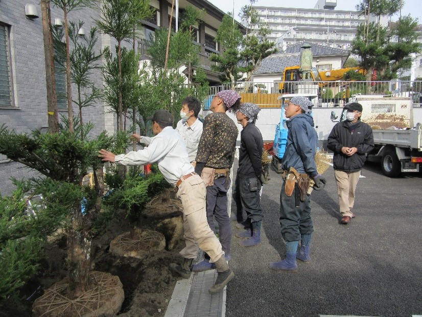 台杉植え付け 台杉植え付け